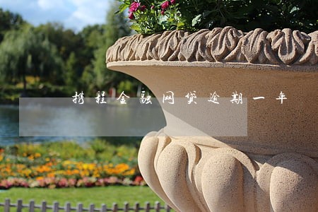 携程金融网贷逾期一年 携程金融网贷逾期一年