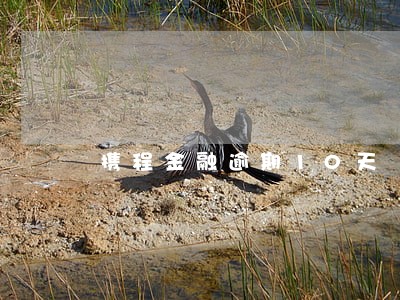 携程金融逾期10天 携程金融逾期10天