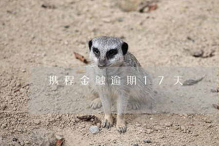 携程金融逾期17天 携程金融逾期17天