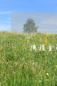 携程金融逾期3天会跟家属联系吗 携程金融逾期3天会跟家属联系吗