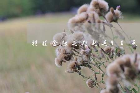携程金融逾期超过90天 携程金融逾期超过90天