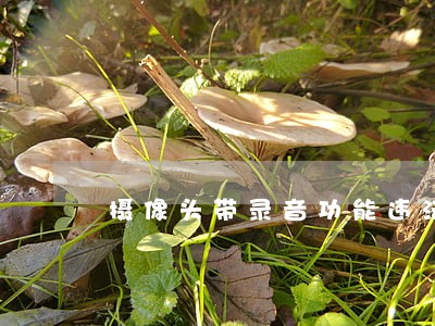摄像头带录音功能违法吗 摄像头带录音功能违法吗