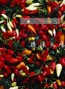 摄像头爆破违法 摄像头爆破违法