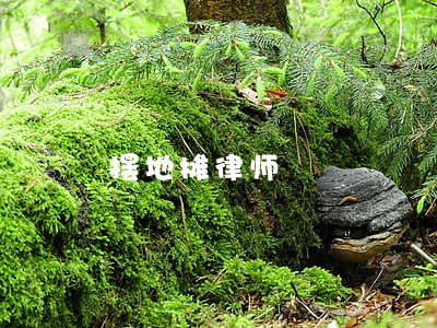 摆地摊律师 摆地摊律师