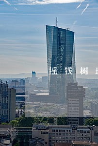 摇钱树理财平台逾期 摇钱树理财平台逾期