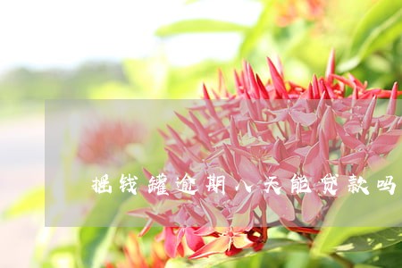 摇钱罐逾期八天能贷款吗 摇钱罐逾期八天能贷款吗