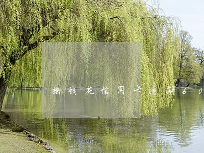 摇钱花信用卡逾期60天了 摇钱花信用卡逾期60天了