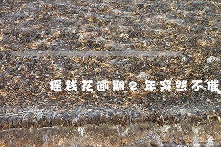 摇钱花逾期2年突然不催收了 摇钱花逾期2年突然不催收了