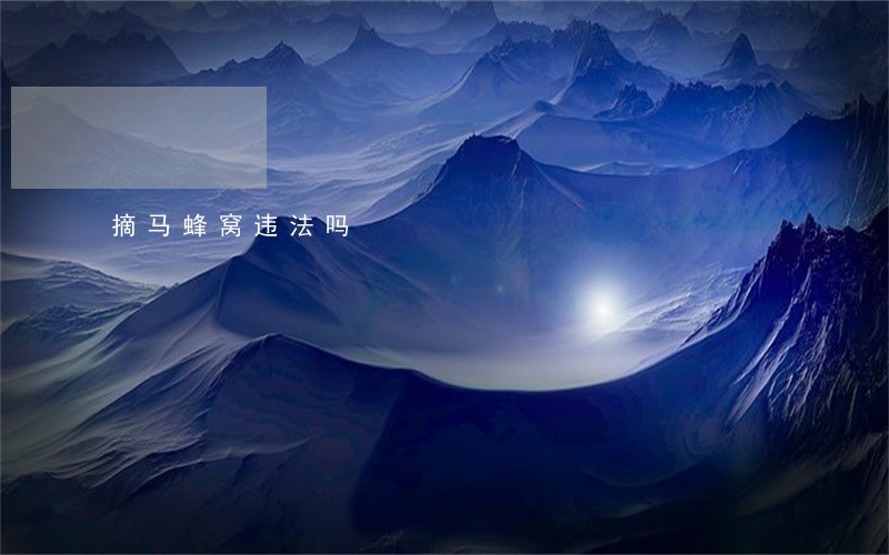 摘马蜂窝违法吗 摘马蜂窝违法吗