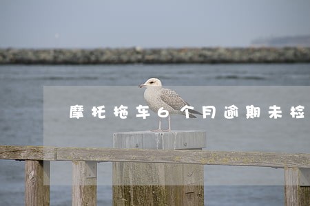 摩托拖车6个月逾期未检 摩托拖车6个月逾期未检