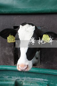 摩托车分期付款逾期4个月 摩托车分期付款逾期4个月