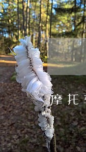 摩托车分期逾期3天 摩托车分期逾期3天