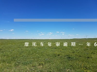 摩托车年审逾期一年6 摩托车年审逾期一年6