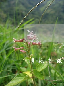 摩托车租赁合同属于民法吗 摩托车租赁合同属于民法吗