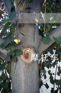 摩托车违法无带头盔只扣分 摩托车违法无带头盔只扣分
