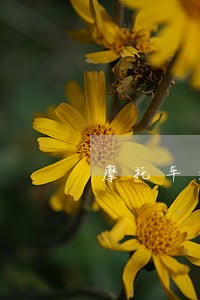 摩托车逾期1天未检验该罚款吗 摩托车逾期1天未检验该罚款吗