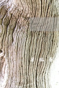 摩托车逾期8年多久自动注销 摩托车逾期8年多久自动注销