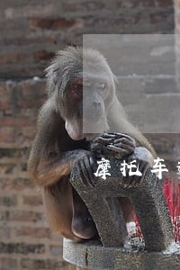 摩托车逾期一年未年检6 摩托车逾期一年未年检6