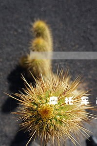 摩托车逾期不年审影响C1照吗 摩托车逾期不年审影响C1照吗