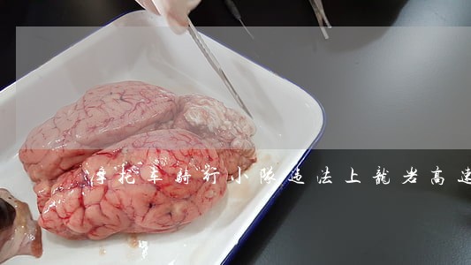 摩托车骑行小队违法上龙岩高速 摩托车骑行小队违法上龙岩高速