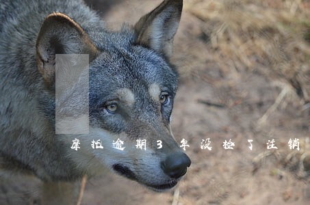 摩托逾期3年没检了注销有费用吗 摩托逾期3年没检了注销有费用吗