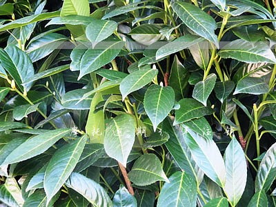 摩托逾期3年注销 摩托逾期3年注销