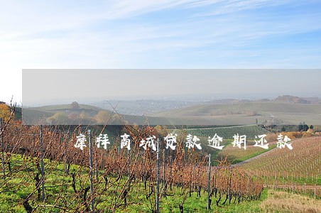 摩拜商城贷款逾期还款 摩拜商城贷款逾期还款