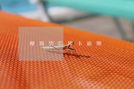 摩羯男信用卡逾期 摩羯男信用卡逾期