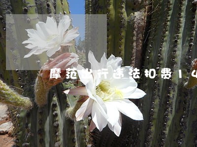 摩范出行违法扣费1430元 摩范出行违法扣费1430元