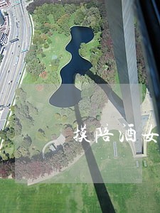 摸陪酒女胸算违法吗 摸陪酒女胸算违法吗