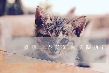 撒贝宁点赞河南法院执行工作 撒贝宁点赞河南法院执行工作
