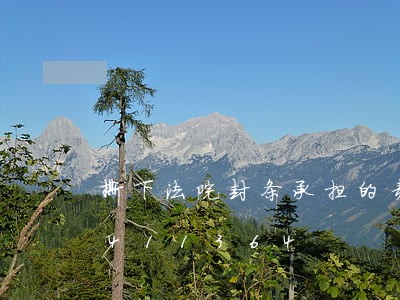 撕下法院封条承担的责任/2023031411364 撕下法院封条承担的责任/2023031411364