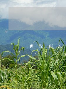 撕毁别人的毕业证违法吗 撕毁别人的毕业证违法吗