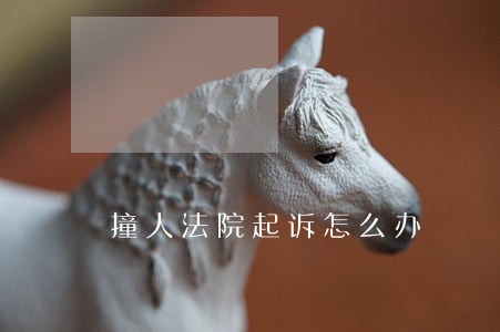 撞人法院起诉怎么办 撞人法院起诉怎么办