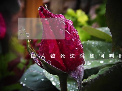 撞人致死法院如何判刑 撞人致死法院如何判刑