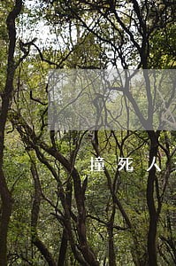 撞死人全责13天取保候审 撞死人全责13天取保候审