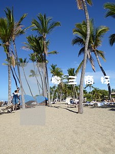 撤三商标一般多久下来