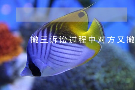 撤三诉讼过程中对方又撤三 撤三诉讼过程中对方又撤三