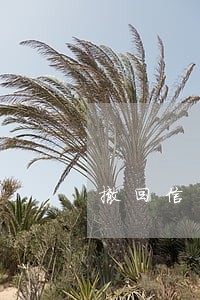 撤回信用卡逾期的罚息 撤回信用卡逾期的罚息