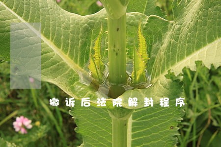撤诉后法院解封程序 撤诉后法院解封程序