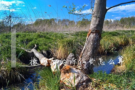 撤诉后的诉讼费怎么算 撤诉后的诉讼费怎么算