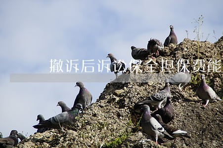 撤诉后诉讼保全担保费能退么