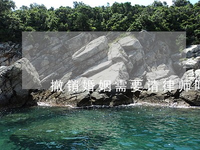 撤销婚姻需要请律师吗 撤销婚姻需要请律师吗