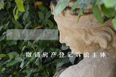 撤销房产登记诉讼主体 撤销房产登记诉讼主体
