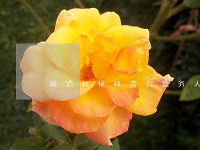 撤销权律师费有债务人承担吗 撤销权律师费有债务人承担吗