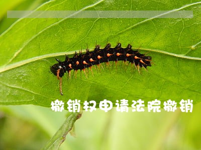 撤销权申请法院撤销 撤销权申请法院撤销