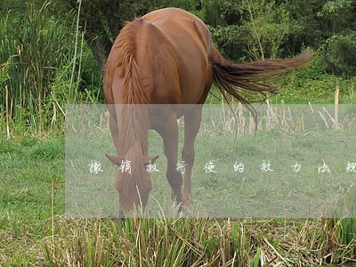 撤销权行使的效力法规 撤销权行使的效力法规