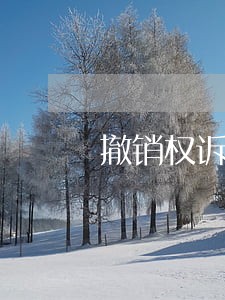 撤销权诉讼债务纠纷诉讼程序