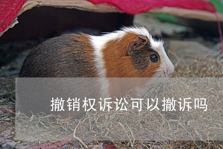 撤销权诉讼可以撤诉吗
