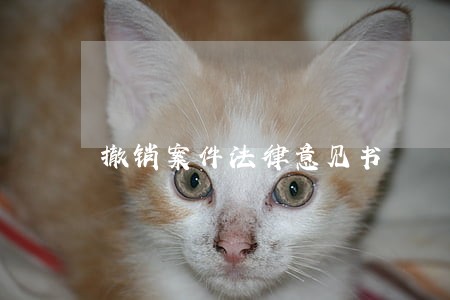 撤销案件法律意见书